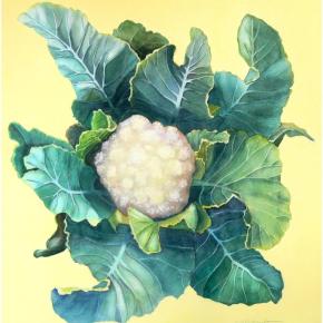 Cauliflower, watercolor by Katharine Cartwright. (Photo courtesy Katharine Cartwright)