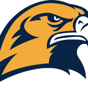 Seahawk logo