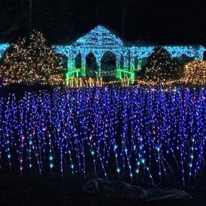 Gardens Aglow. STEVE EDWARDS/Boothbay Register