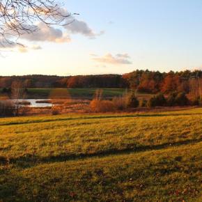 Salt Bay Farm