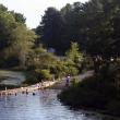 Swimmers and sunbathers enjoy hot, humid days along Nequasset Brook in Woolwich. Selectmen hope to make improvements to the town park and mitigate any conflicts between boaters and swimmers there. JOHN MAGUIRE/Wiscasset Newspaper