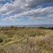 Damariscove, which is located five miles east from Boothbay Harbor, has been among other things, a place for Abenaki tribes to gather food, a place for drying fish, a Coast Guard station, a safe harbor and now a preserve for wildlife. BEN BULKELEY/Boothbay Register