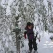 Preserve Steward Cheryl Lorrain snowshoeing on Zak Preserve.