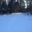 The School House Pond Trail on Barter's Island is a perfect spot for a quick winter ski. SUE MELLO/Boothbay Register