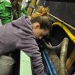 Anna Dahms, front, and Alex Prestera work together to construct the tide pool display. BEN BULKELEY/Boothbay Register.