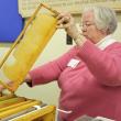 Beekeeper of 27 years Jean Vose. HOLLY S. EDWARDS/Penobscot Bay Pilot