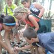 The Boothbay Region Land Trust offered free environmental education throughout the summer at Camp Knickerbocker through its partnership with the BRYMCA. These campers are looking closely at a centipede that was found during a study of rotting logs. The land trust is actively raising money to sustain its education program as part of its Stewardship Campaign. For more information about the campaign and upcoming educational events, call (207) 633-4818 or visit bbrlt.org. Courtesy of BRLT