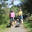 Tucker and Bella are big fans of Penny Lake Preserve. Their humans made donations on their behalf for Boothbay Region Land Trust’s Stewardship Campaign. The money raised through the campaign will sustain the land trust’s trails and other community resources. Courtesy of BRLT  