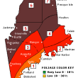 Current foliage conditions in Maine. Courtesy of the Maine Office of Tourism