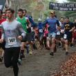 Over 100 racers take off from the start. Racers competed in a 13.1 mile and a 5.5 mile trail race. Courtesy of Andy McEvoy 