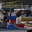 rockport lobster boats maine