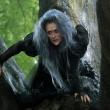 Meryl Streep in “Into the Woods”