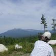 birds, birding, mt Katahdin, Katahdin Woods and Waters National Monument, Natural Resources Council of Maine, Allison Wells, NRCM