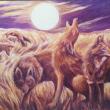 Coyote Medicine by Helen Warren