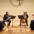 The DaPonte String Quartet