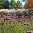 Coastal Maine Botanical Gardens