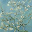 “Almond Blossom,” 1890 -Vincent van Gogh