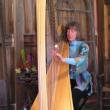 Harpist Suki Flanagan