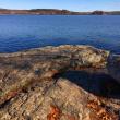 #Sebattus-Pond, #Bird-column, #Boothbay-Register