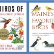 #bird-column, #birds, #Jeff-and-Allison-Wells. #boothbay-register, #maine, #Wiscasset-Newsapaper, #roseate-tern, 