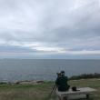 #bird-column, #birds, #boothbay register, #Jeff and Allison Wells, #Maine, #Pemaquid Point, #monhegan Island