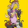 crazy cat lady