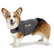 thundershirt sale