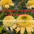 End of Season Clearance Sale