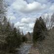 #bird-column, #boothbay register, #perham stream birding trail, #natural resources council of maine, #jeff and allison wells, #birds, #maine, #high peaks alliance