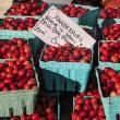 Boothbay Farmer's Market