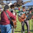 Boothbay Farmer's Market