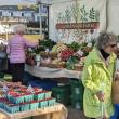 Boothbay Farmer's Market