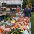 Boothbay Farmer's Market