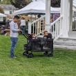 Boothbay Farmer's Market