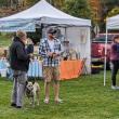 Boothbay Farmer's Market. CANDI JONETH/Boothbay Register