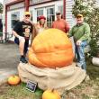 Giant pumpkin