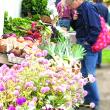 Boothbay Farmer's Market. CANDI JONETH/Boothbay Register