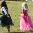 Dancing fairies. LISA KRISTOFF/Boothbay Register