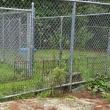 Fence repair. Midcoast Humane photo