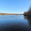 Although there was no spectacular rarity is sight during Saturday's Christmas Bird Count, bald eagles and common mergansers helped make for an enjoyable day to be outside along the waterfront Courtesy of Jeff Wells