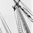 A crew member high up in the rigging of the Bowdoin's rear mast. PHIL DI VECE photo