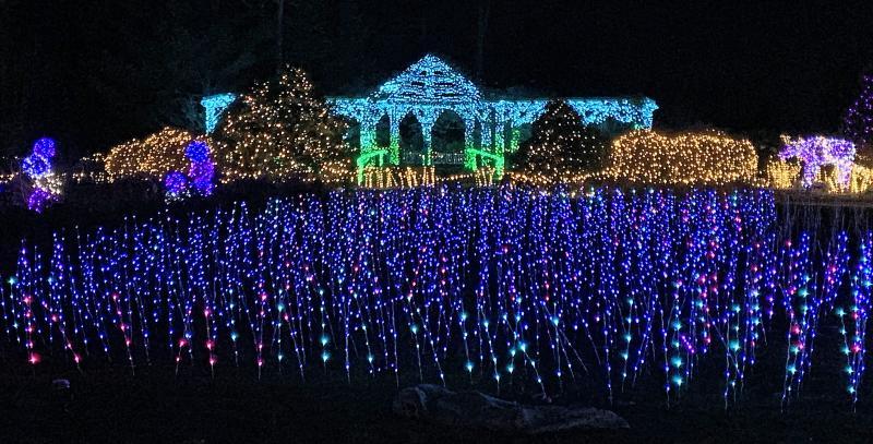 Gardens Aglow. STEVE EDWARDS/Boothbay Register