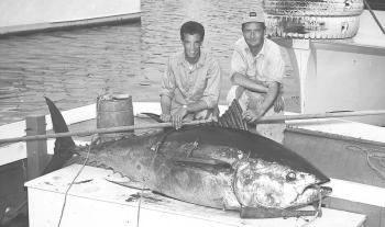 Bob Damrell and Pat Elderkin on a dock in Boothbay Harbor with a tuna they caught in 1963. Courtesy of June Elderkin