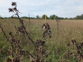 The Woolwich landfill needs ongoing maintenance. JOHN MAGUIRE/Wiscasset Newspaper