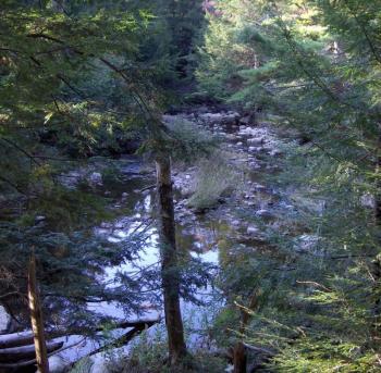 SVCA will open a new trail at the Trout Brook Preserve on Saturday at 10 a.m. Courtesy of Sheepscot Valley Conservation Association