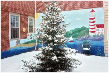 BELFAST - A Christmas tree in the courtyard of Waldo County District Court. (Photo by Ethan Andrews)