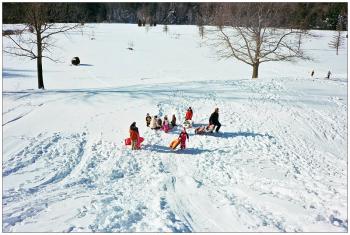 NORTHPORT - Sledders at the Northport Golf Club disperse after converging on a boy who had the wind knocked out of him after going over a small jump. (Photo by Ethan Andrews)