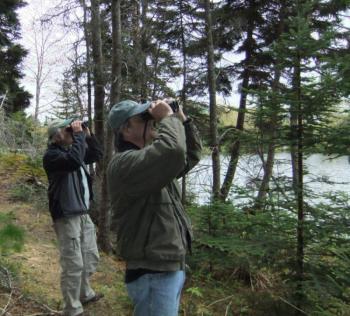 BRLT Wayfarers will learn how to see things on trail that an ordinary hiker might miss. Courtesy of Boothbay Region Land Trust