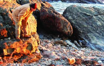 Waldman and the seal survey each other. Courtesy of Sue Goodrich