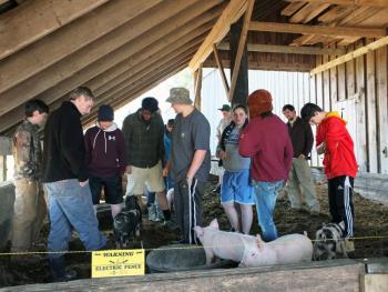 Wiscasset Middle School eighth grade students learn how pigs are raised at Chewonki, as part of a four-day overnight experiential education there. JOHN MAGUIRE/Wiscasset Newspaper 